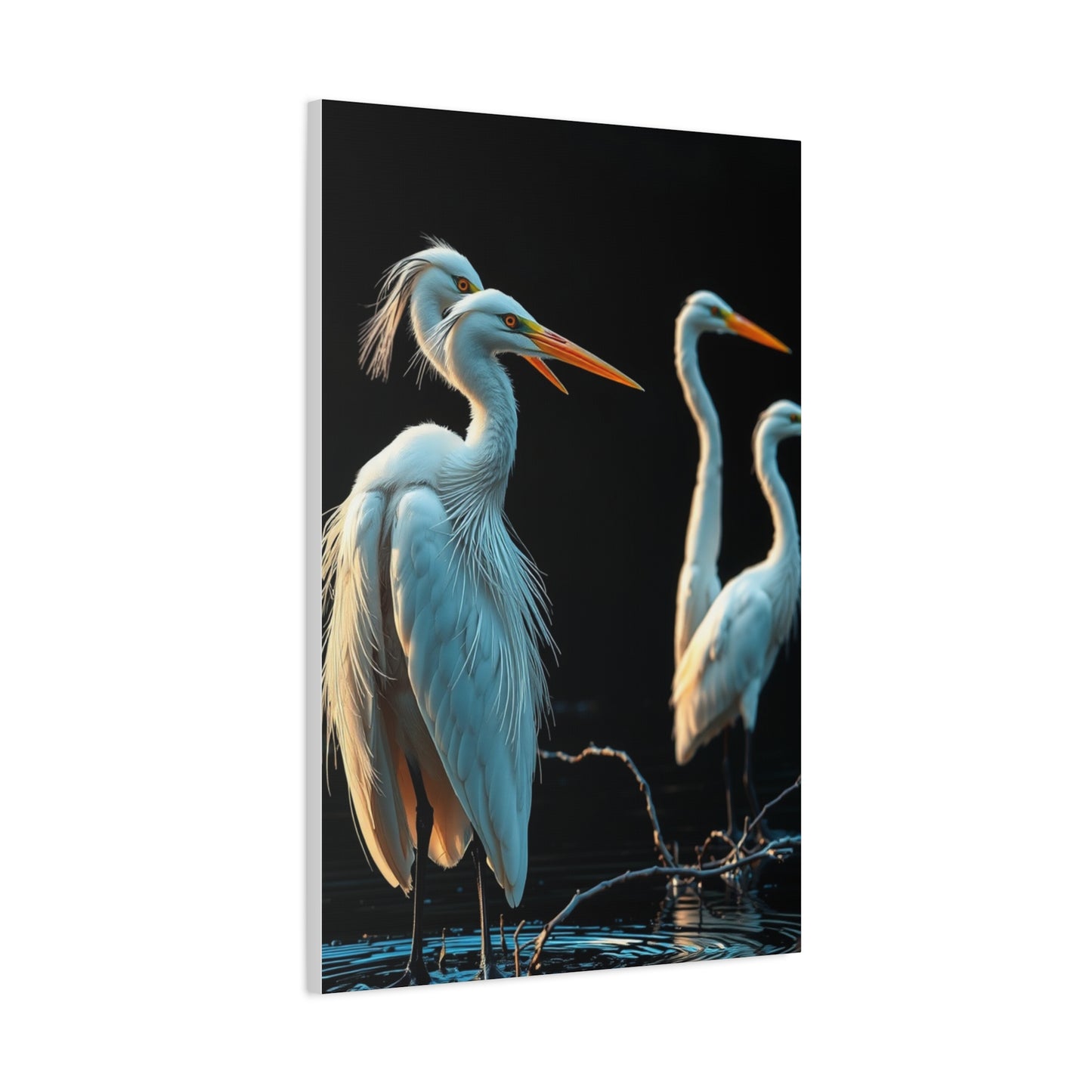 Collection Herons and Egrets Art Art Wall Art & Canvas Print