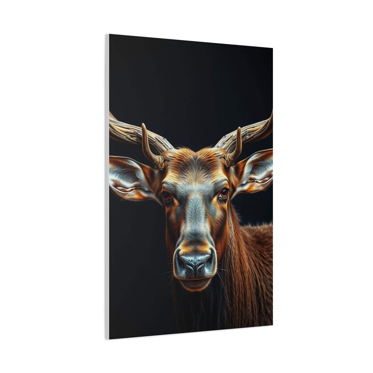 Supreme Elk Art Collection Wall Art & Canvas Print