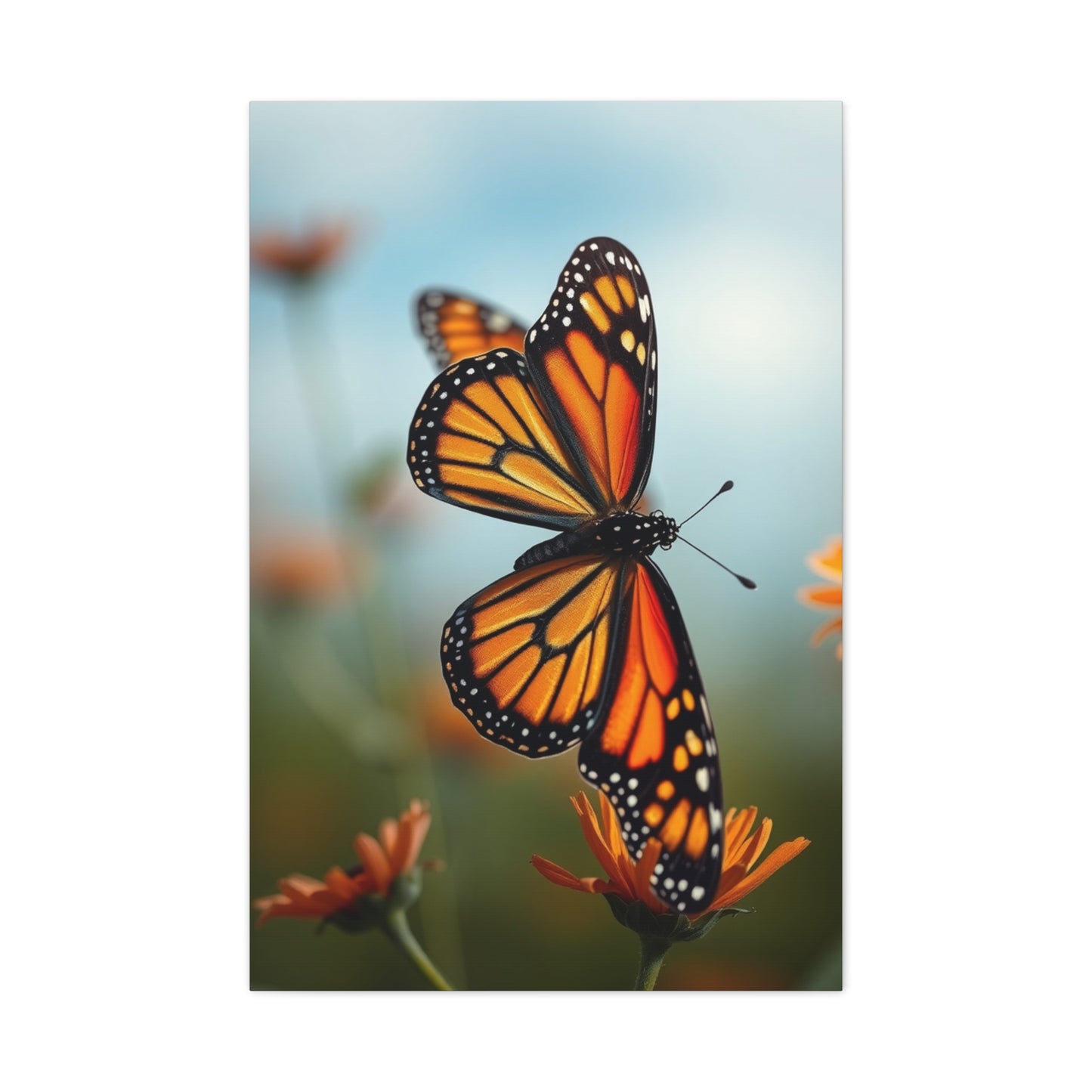 Monarch Butterflies Art Supreme Gallery Wall Art & Canvas Print