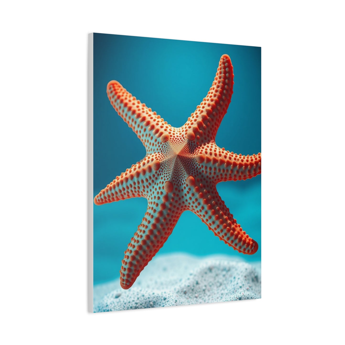 Starfish Art Supreme Gallery Wall Art & Canvas Print