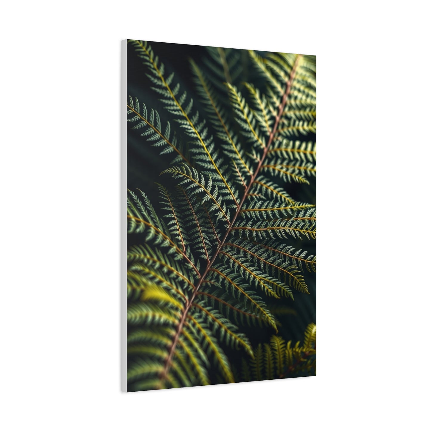 Supreme Fern Art Collection Wall Art & Canvas Print