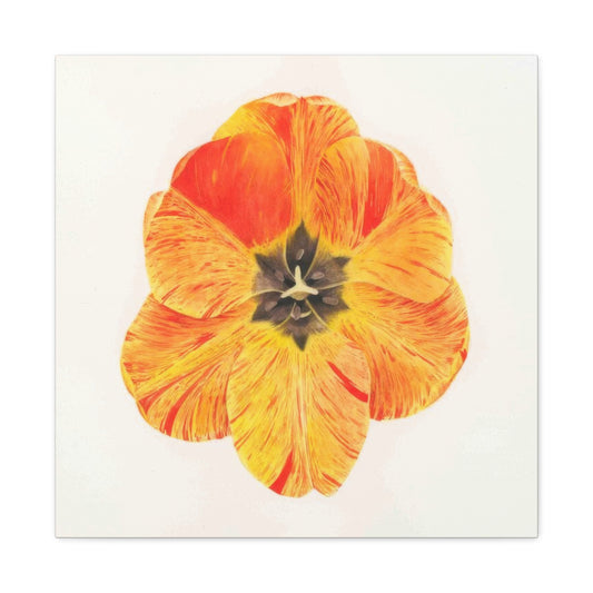 Grace Popp Orange Flower Head Wall Art & Canvas Prints