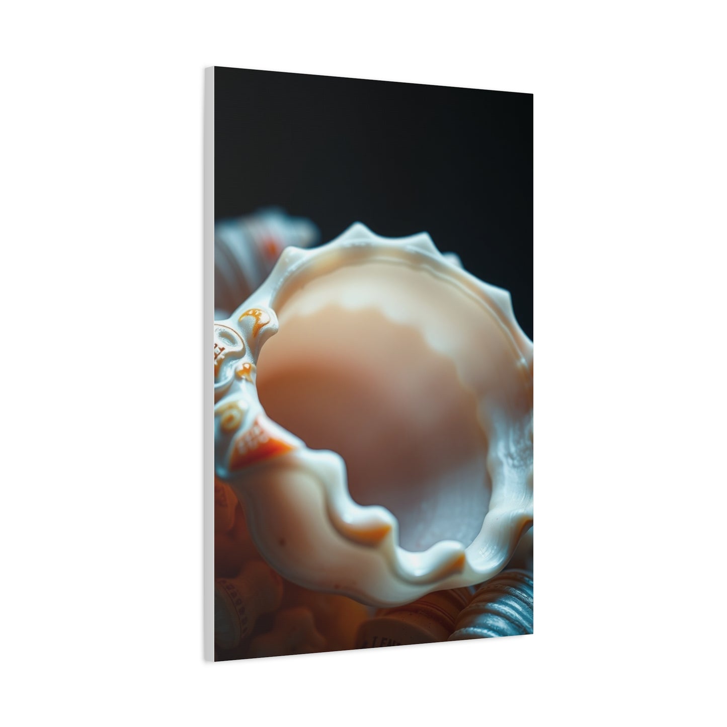 Shells Art Luxury Canvas Wall Art & Canvas Print