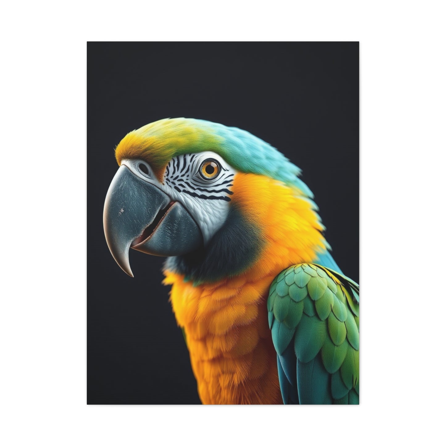 Masterpiece Parrot Art Vision Wall Art & Canvas Print