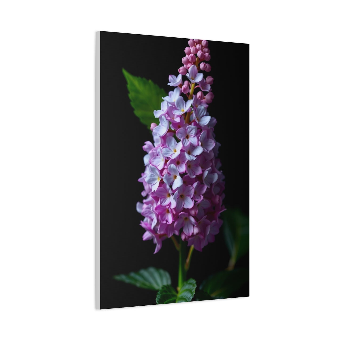 Supreme Lilac Flower Art Collection Wall Art & Canvas Print