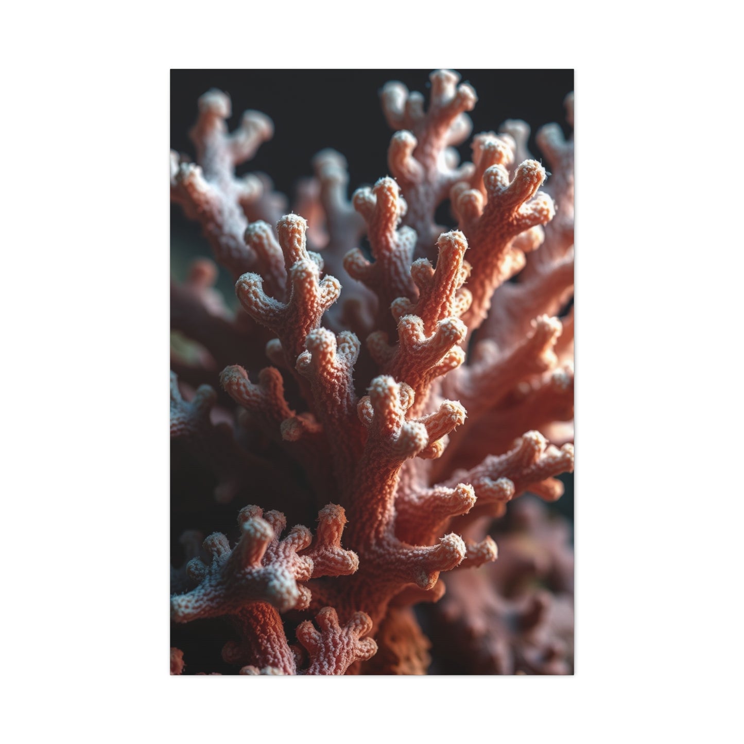 Coral Art Luxury Canvas Wall Art & Canvas Print
