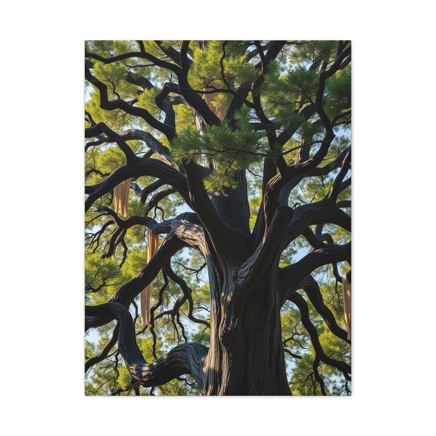 Supreme Oak Tree Art Collection Wall Art & Canvas Print