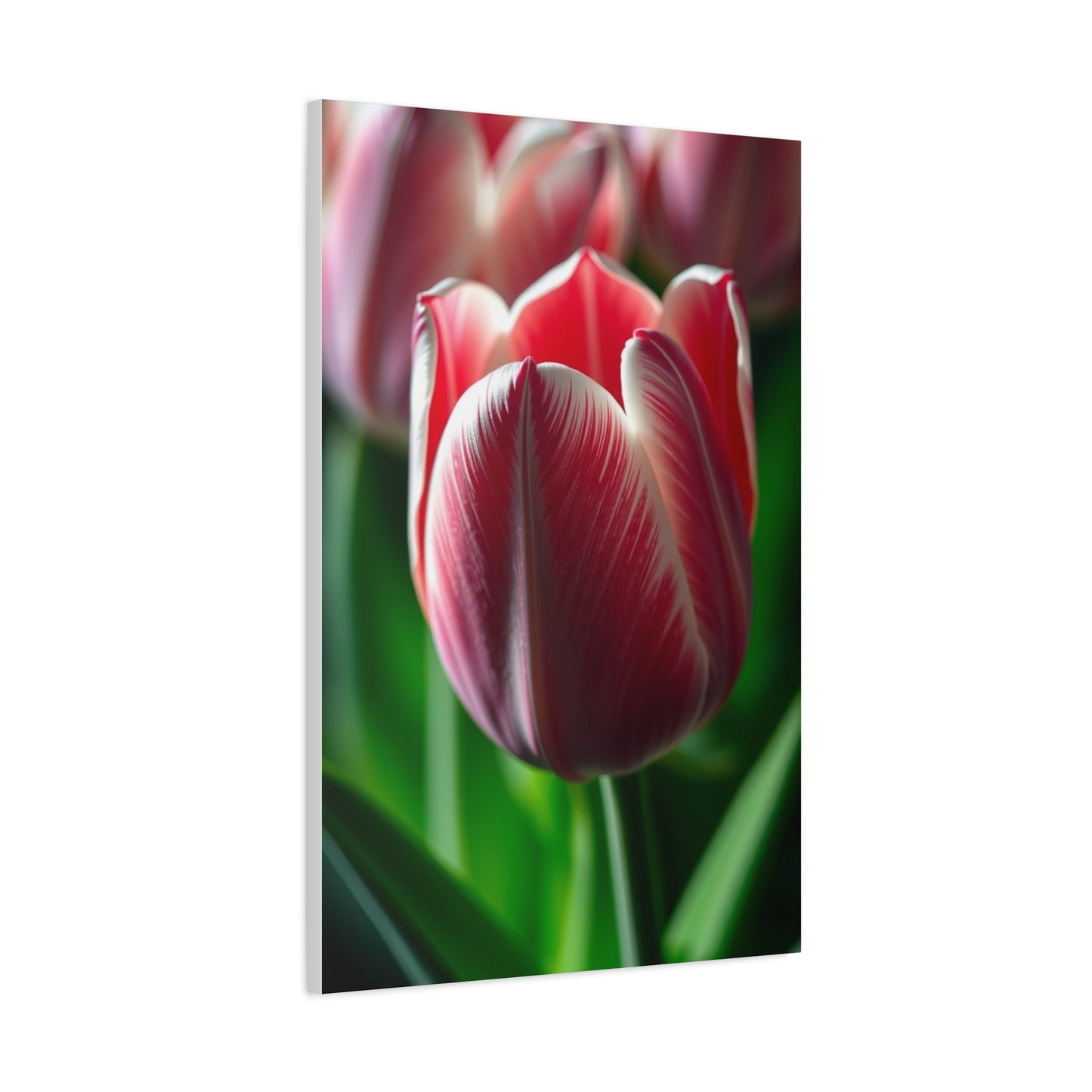 Supreme Tulip Flower Art Collection Wall Art & Canvas Print