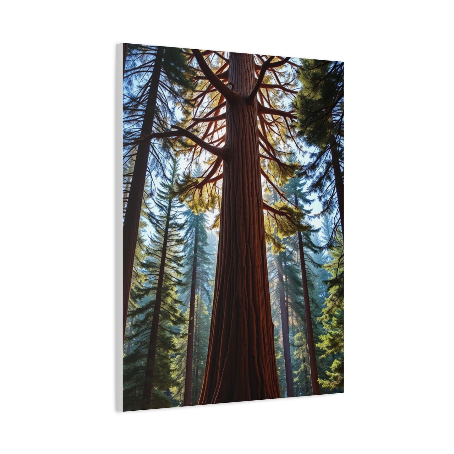 Masterpiece Redwood Tree Art Vision Wall Art & Canvas Print