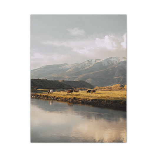 Mountain River Cattle Pasture Wall Art & Canvas Print