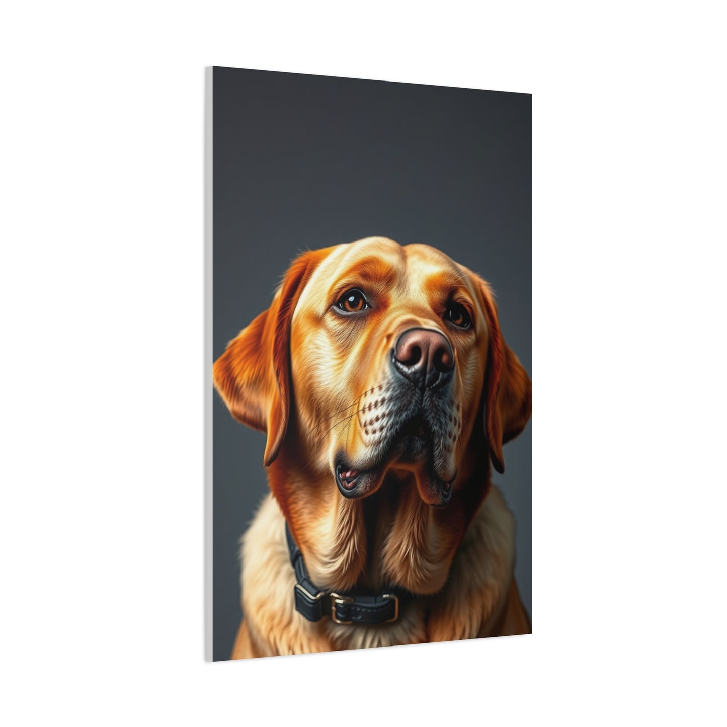Labrador Retriever Art Supreme Gallery Wall Art & Canvas Print