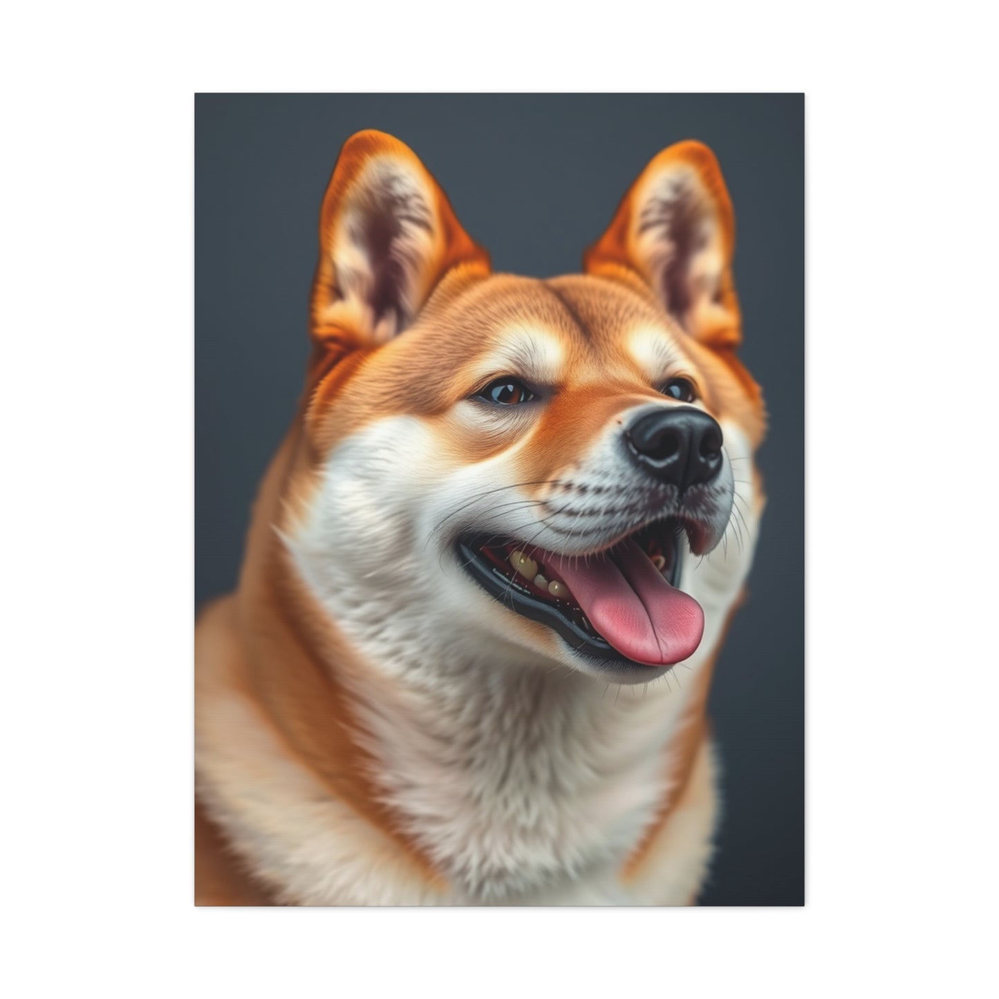 Supreme Shiba Inu Dog Art Collection Wall Art & Canvas Print