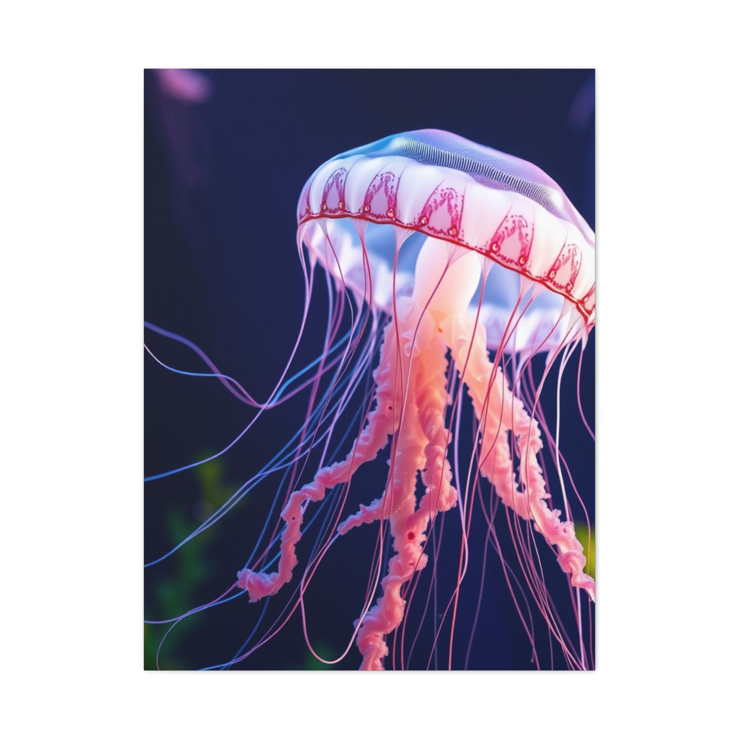 Jellyfish Art Supreme Gallery Wall Art & Canvas Print