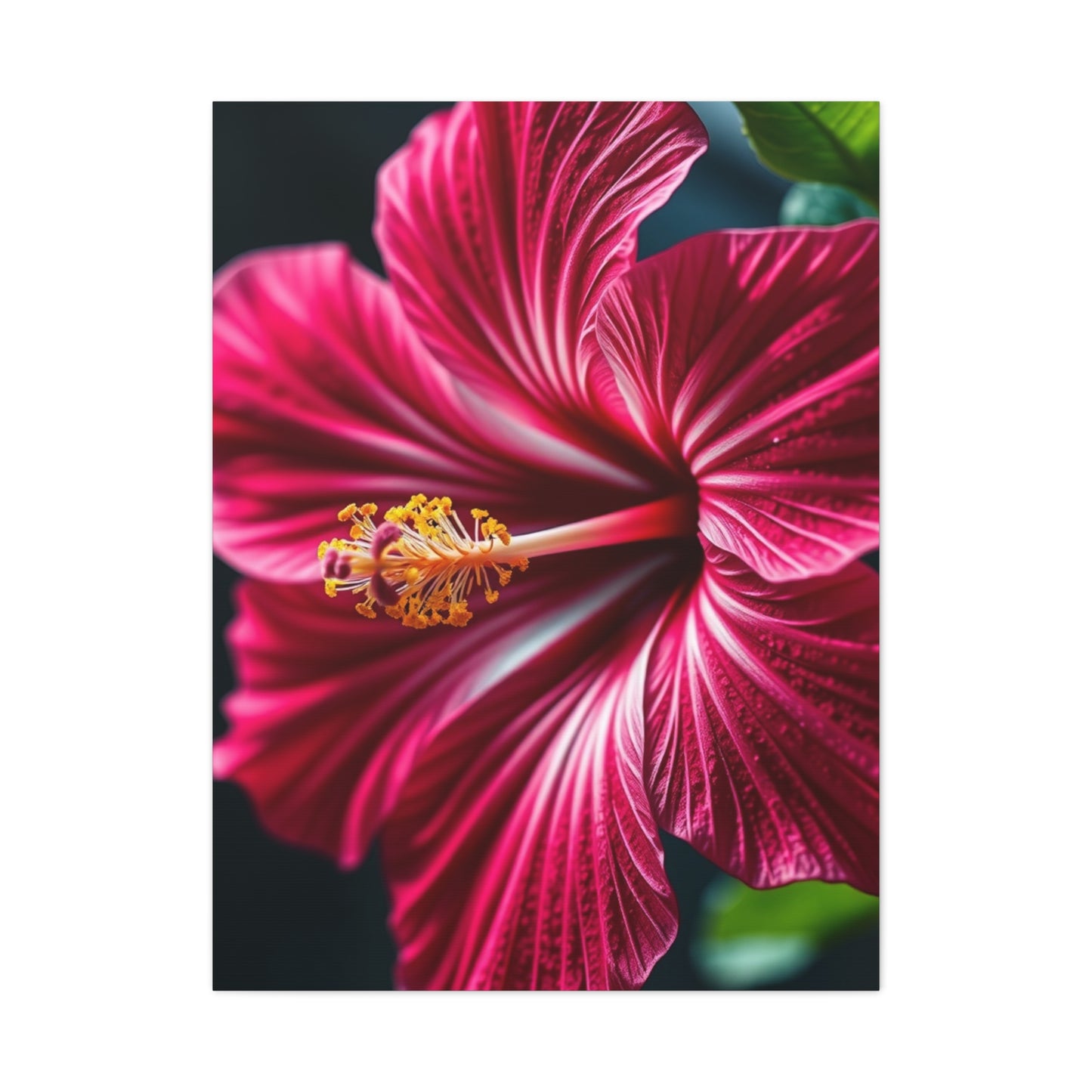 Collection Hibiscus Flower Art Art Wall Art & Canvas Print