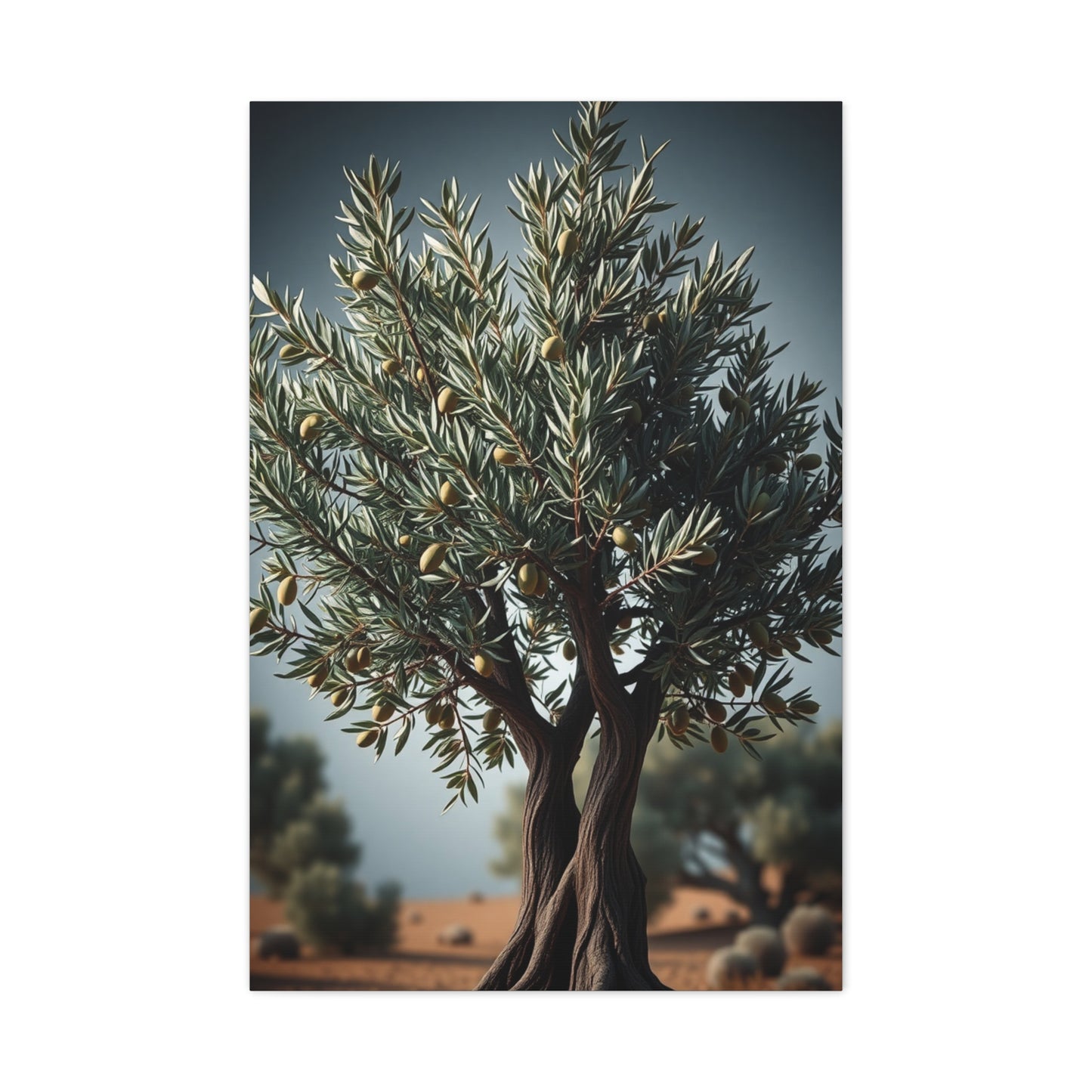 Olive Tree Art Supreme Gallery Wall Art & Canvas Print