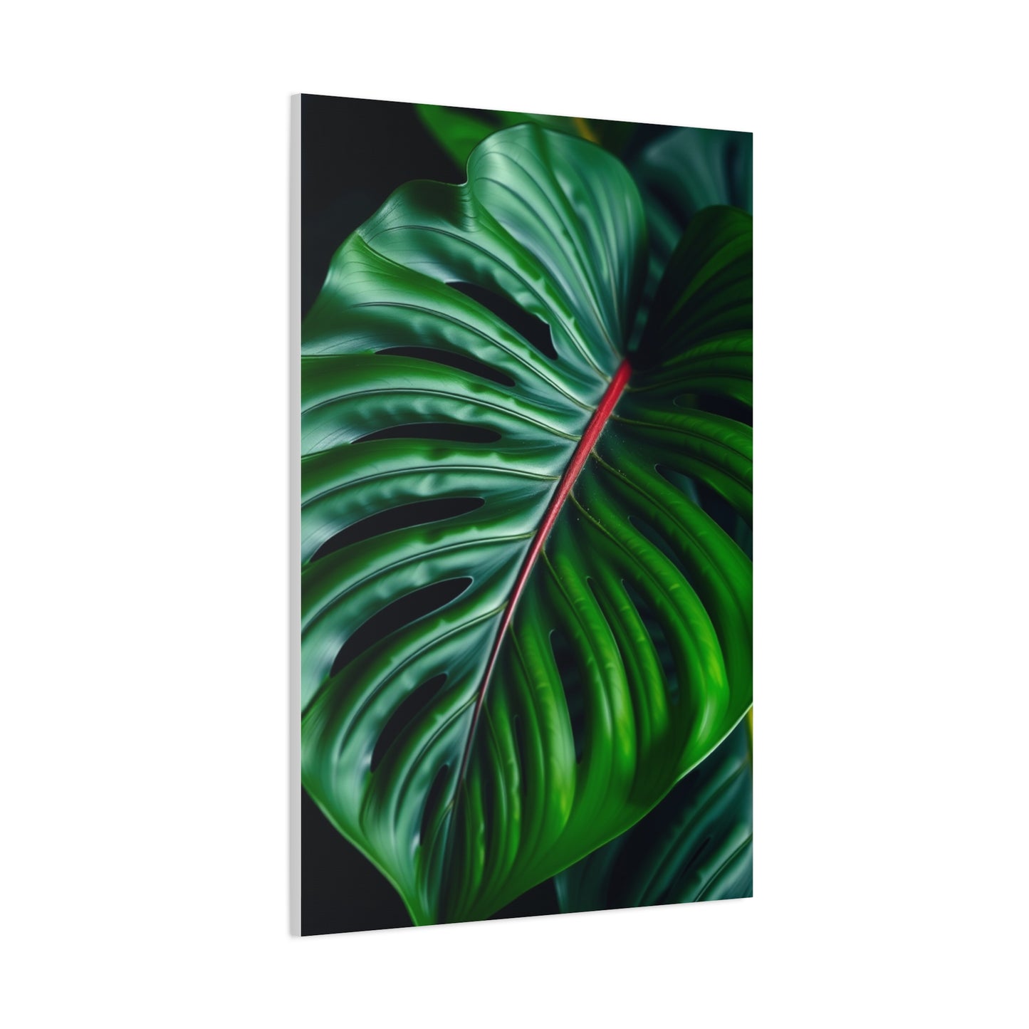 Monstera Plant Art Supreme Gallery Wall Art & Canvas Print