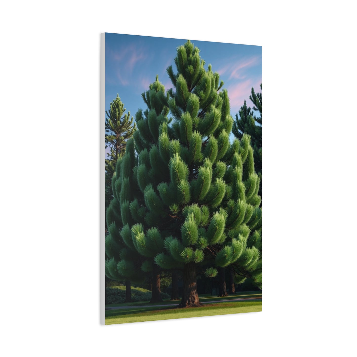 Pine Tree Art Supreme Gallery Wall Art & Canvas Print