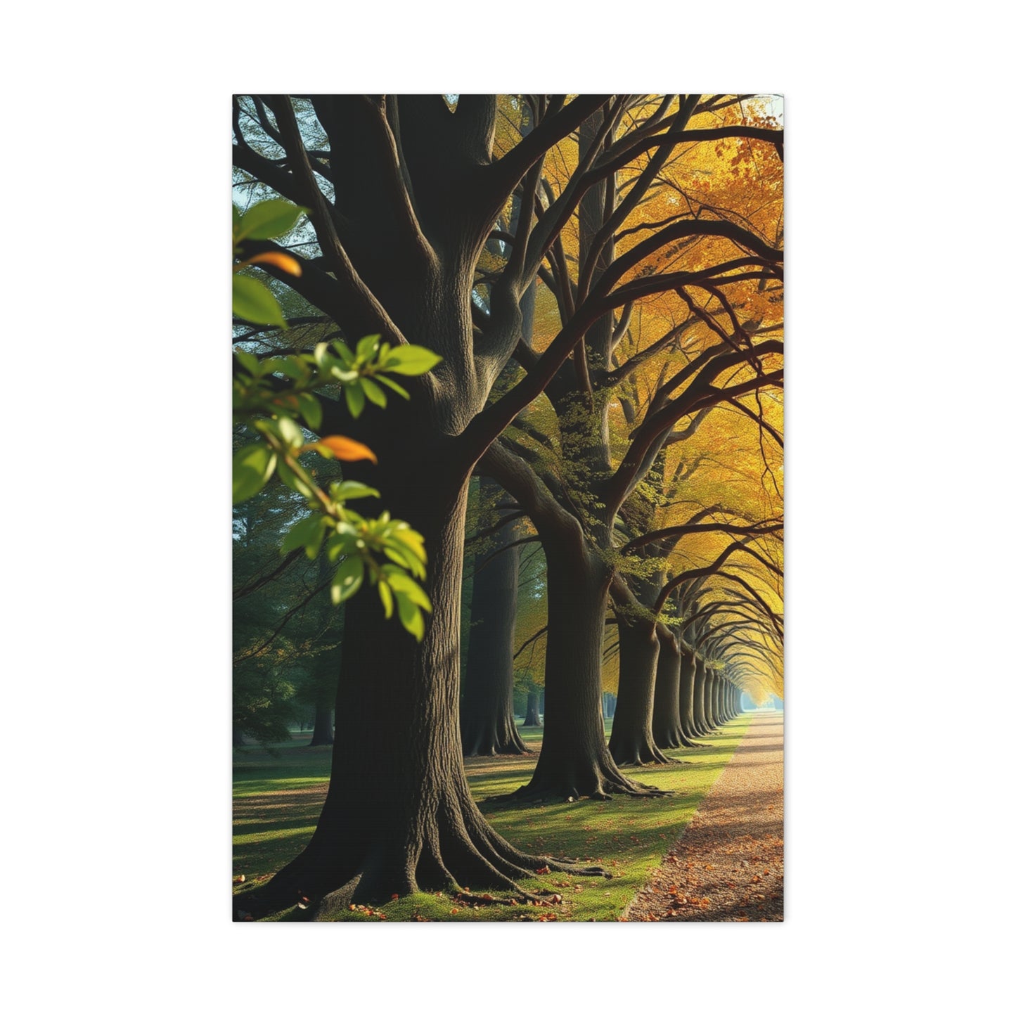 Supreme Trees Wall Art Collection Wall Art & Canvas Print