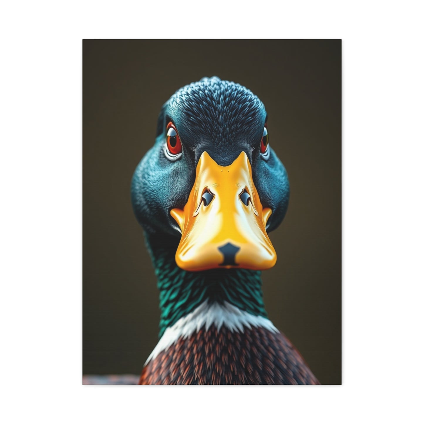 Elite Duck Art Vision Wall Art & Canvas Print