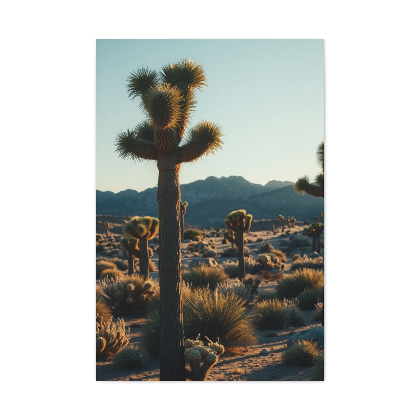 Elite Joshua Tree National Park Art Vision Wall Art & Canvas Print
