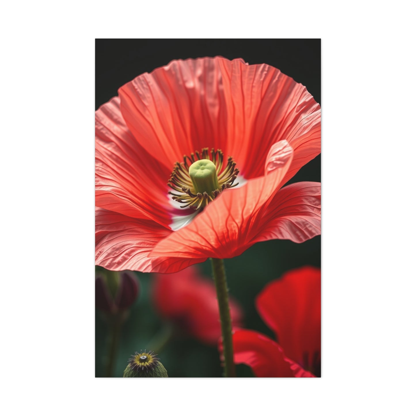 Poppy Flower Art Refined Canvas Wall Art & Canvas Print