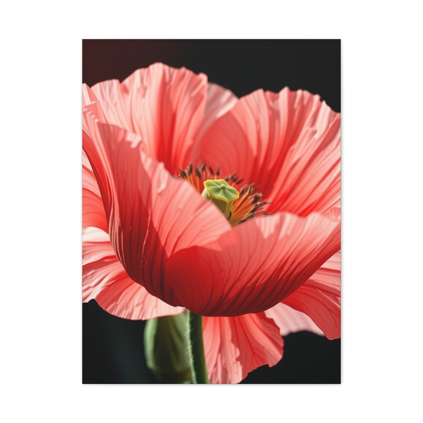 Supreme Poppy Flower Art Collection Wall Art & Canvas Print