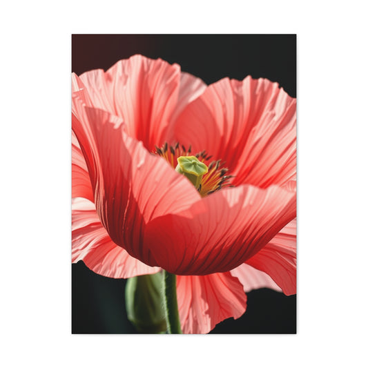 Supreme Poppy Flower Art Collection Wall Art & Canvas Print
