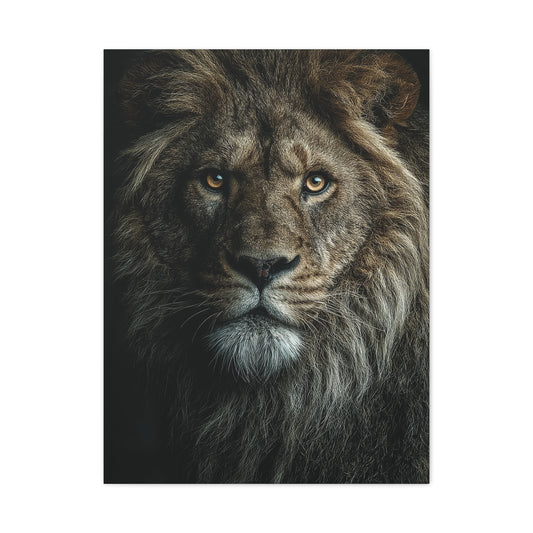 Lion Close Portrait Intense Gaze Wall Art & Canvas Print