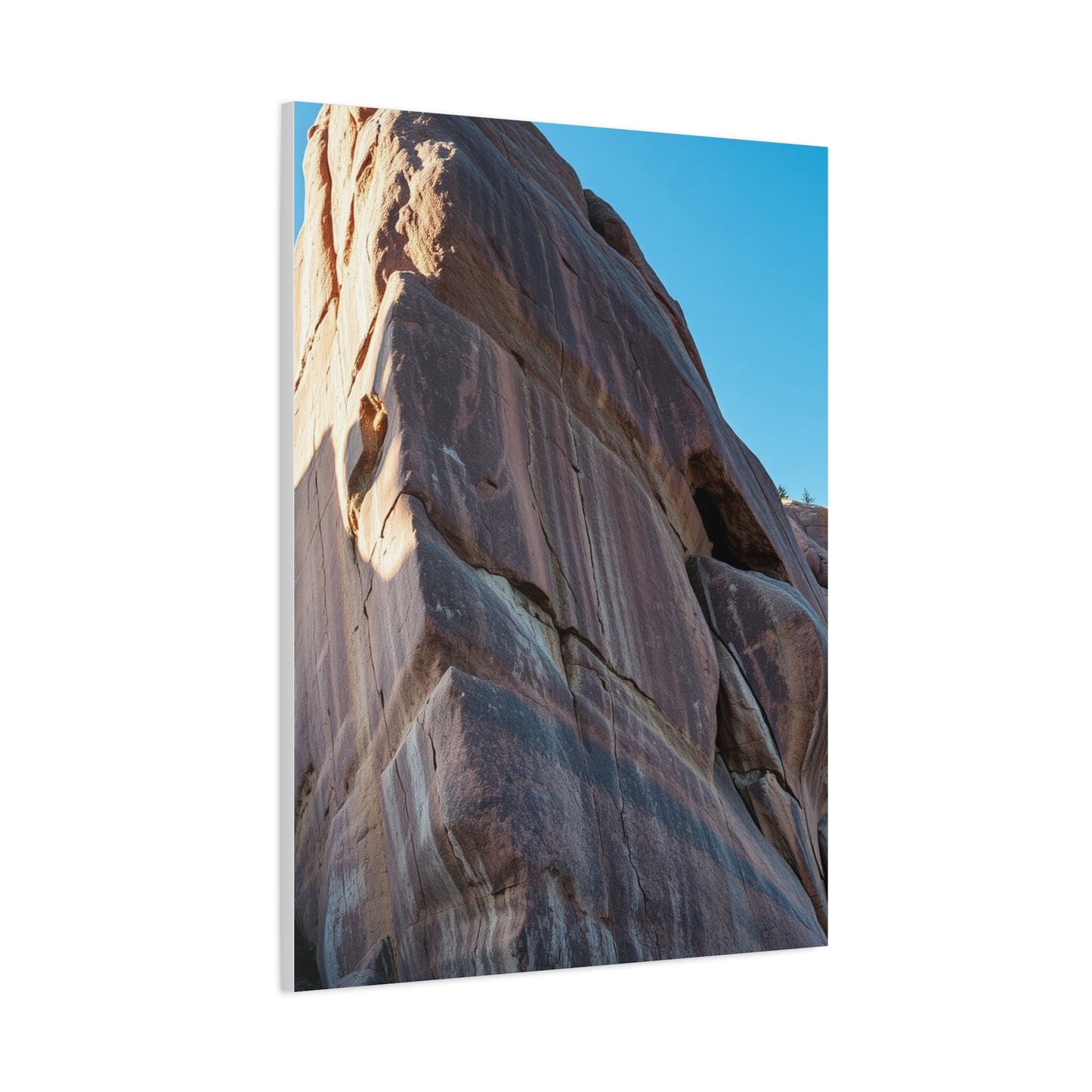 Elite Boulder Art Vision Wall Art & Canvas Print