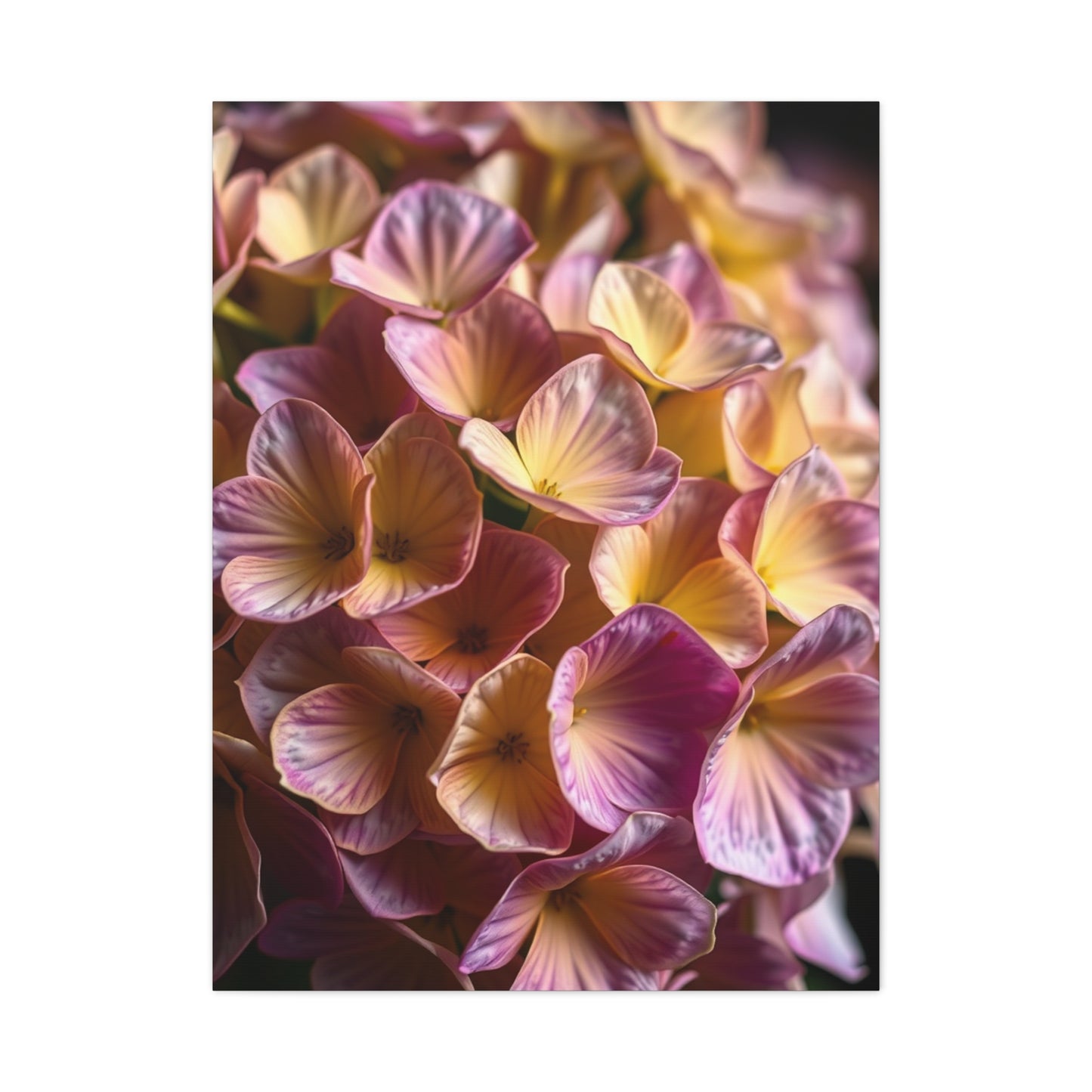 Supreme Hydrangea Flower Art Collection Wall Art & Canvas Print
