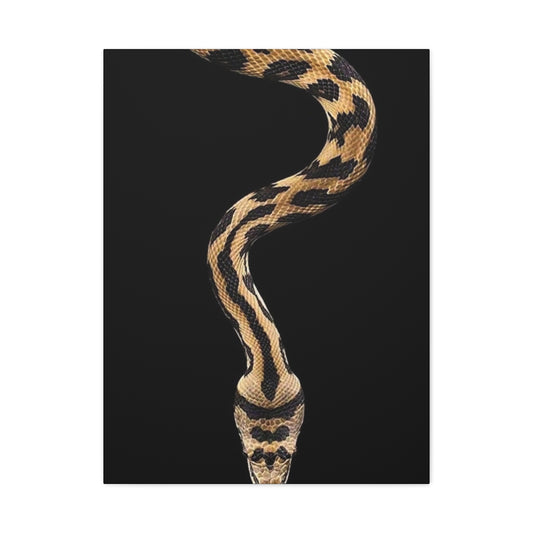 Snake On Black Poster Wall Art & Canvas Prints
