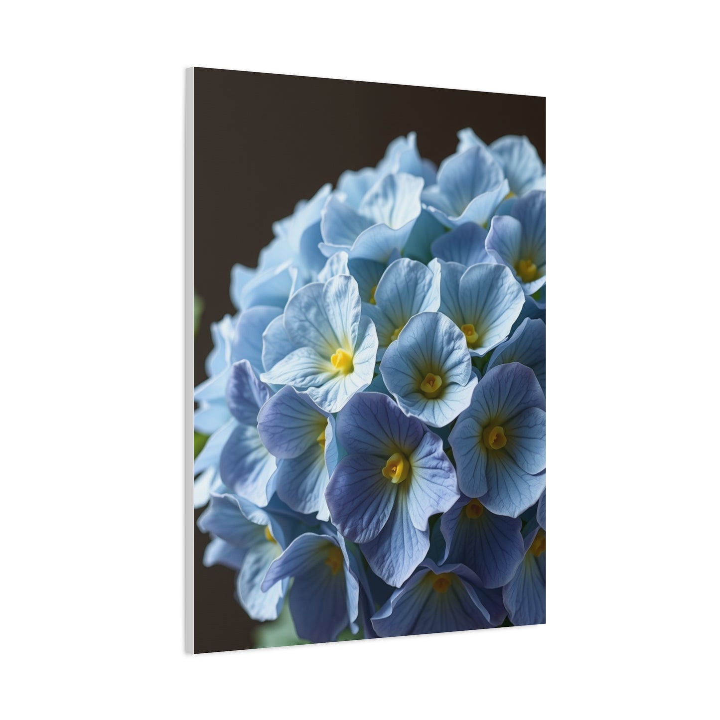 Hydrangea Flower Art Refined Canvas Wall Art & Canvas Print