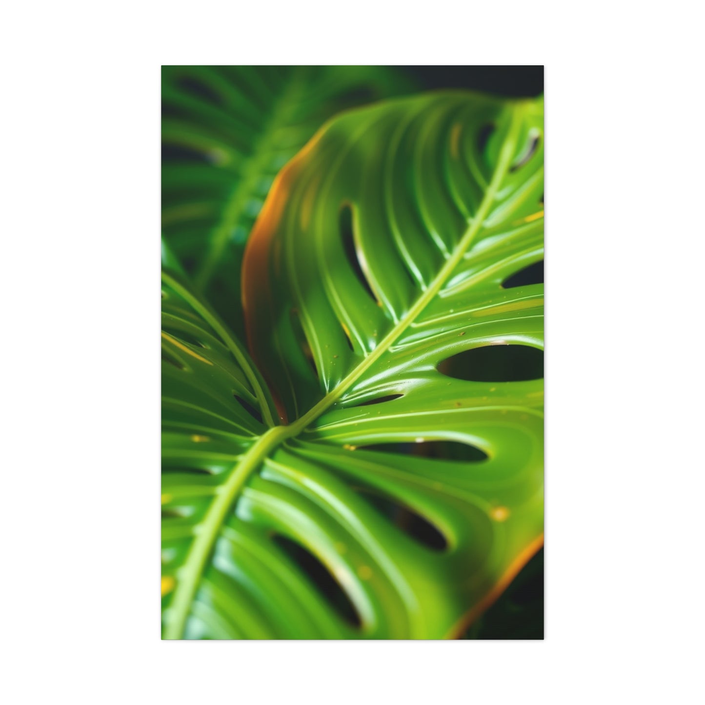 Supreme Monstera Plant Art Collection Wall Art & Canvas Print