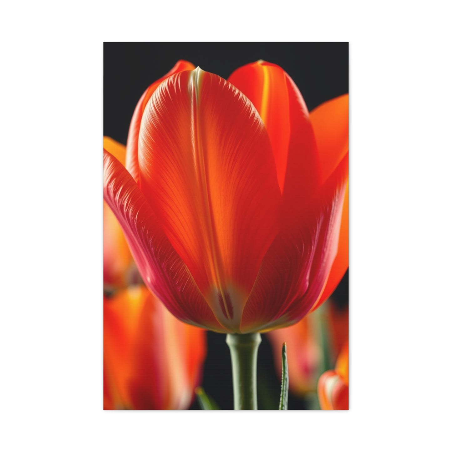 Elite Tulip Flower Art Vision Wall Art & Canvas Print