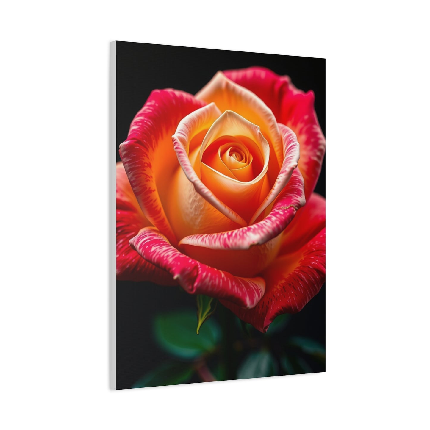Supreme Rose Art Collection Wall Art & Canvas Print