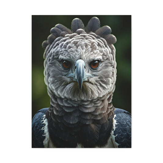 Regal Harpy Eagle Portrait Wall Art & Canvas Prints