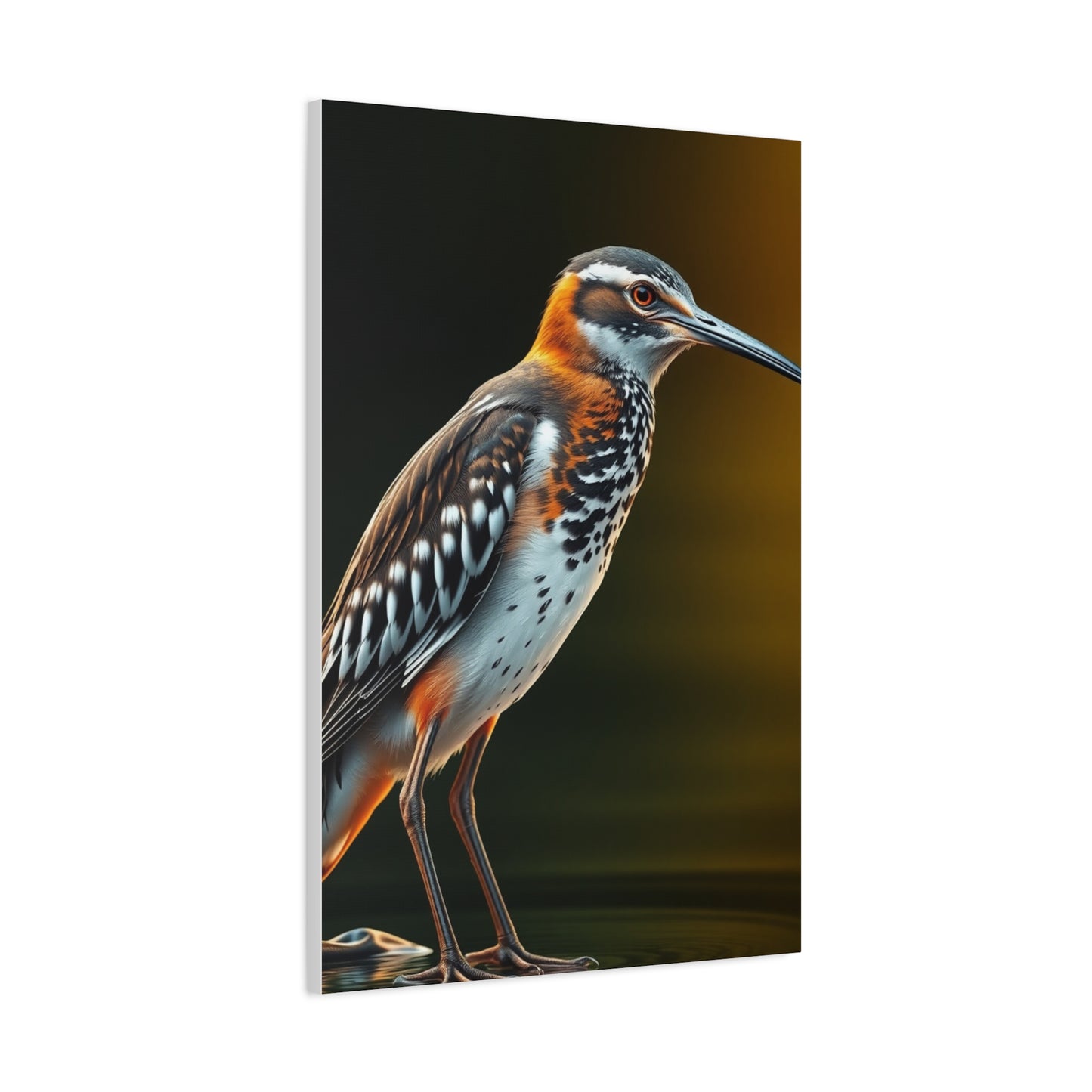Supreme Sandpiper Art Collection Wall Art & Canvas Print