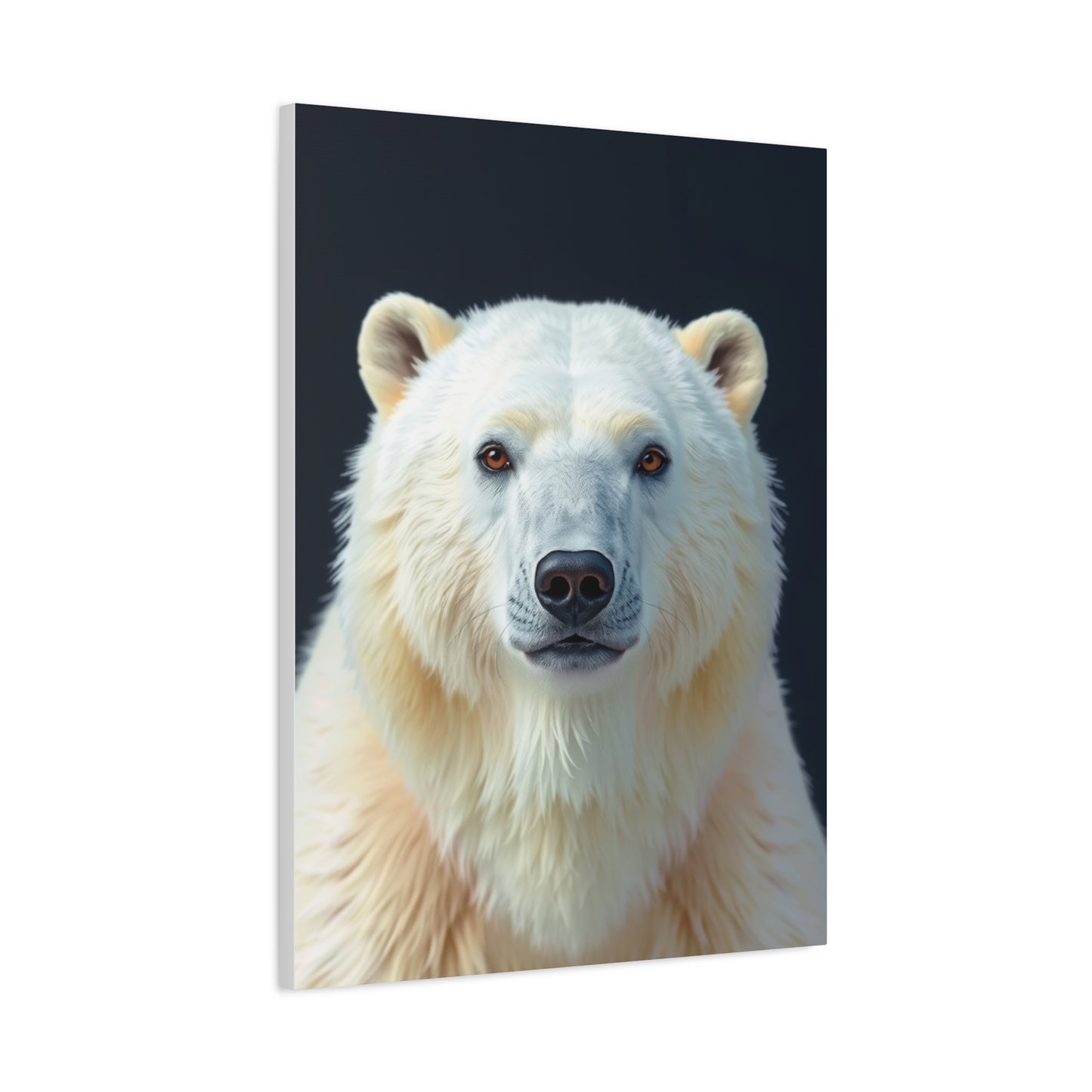 Supreme Polar Bear Art Collection Wall Art & Canvas Print