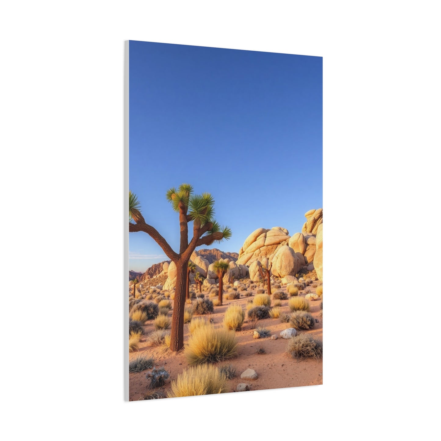 Joshua Tree National Park Art Supreme Gallery Wall Art & Canvas Print