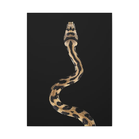 Snake On Poster Wall Art & Canvas Prints