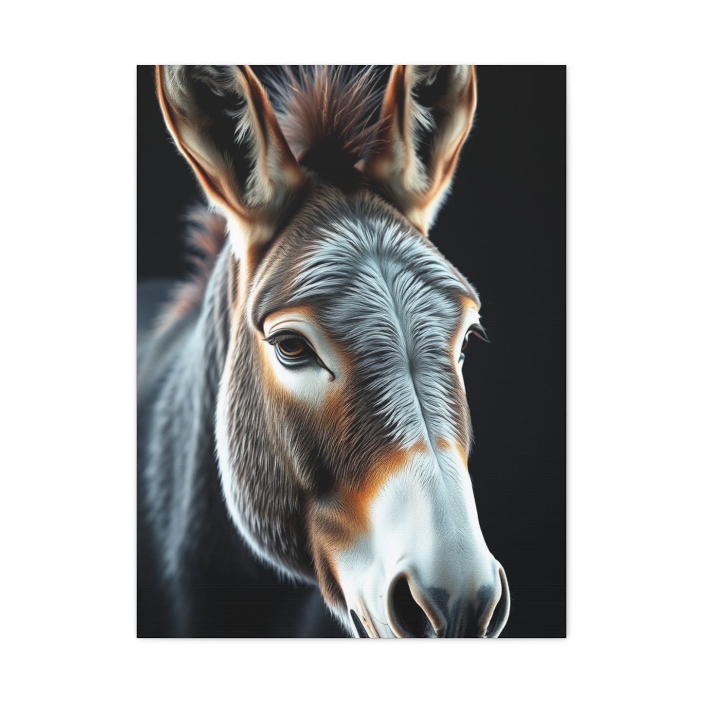 Supreme Donkey Art Collection Wall Art & Canvas Print