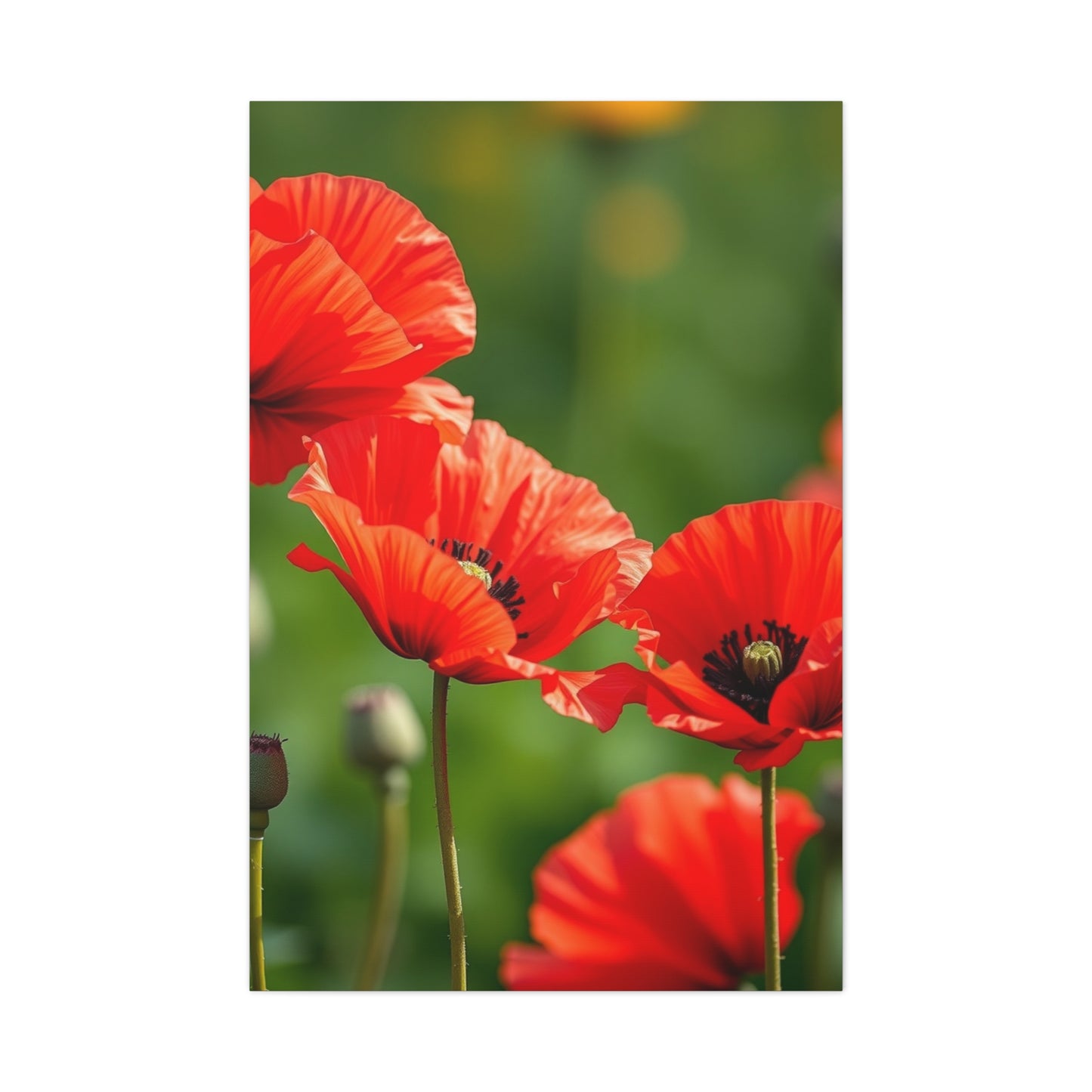 Poppy Flower Art Supreme Gallery Wall Art & Canvas Print