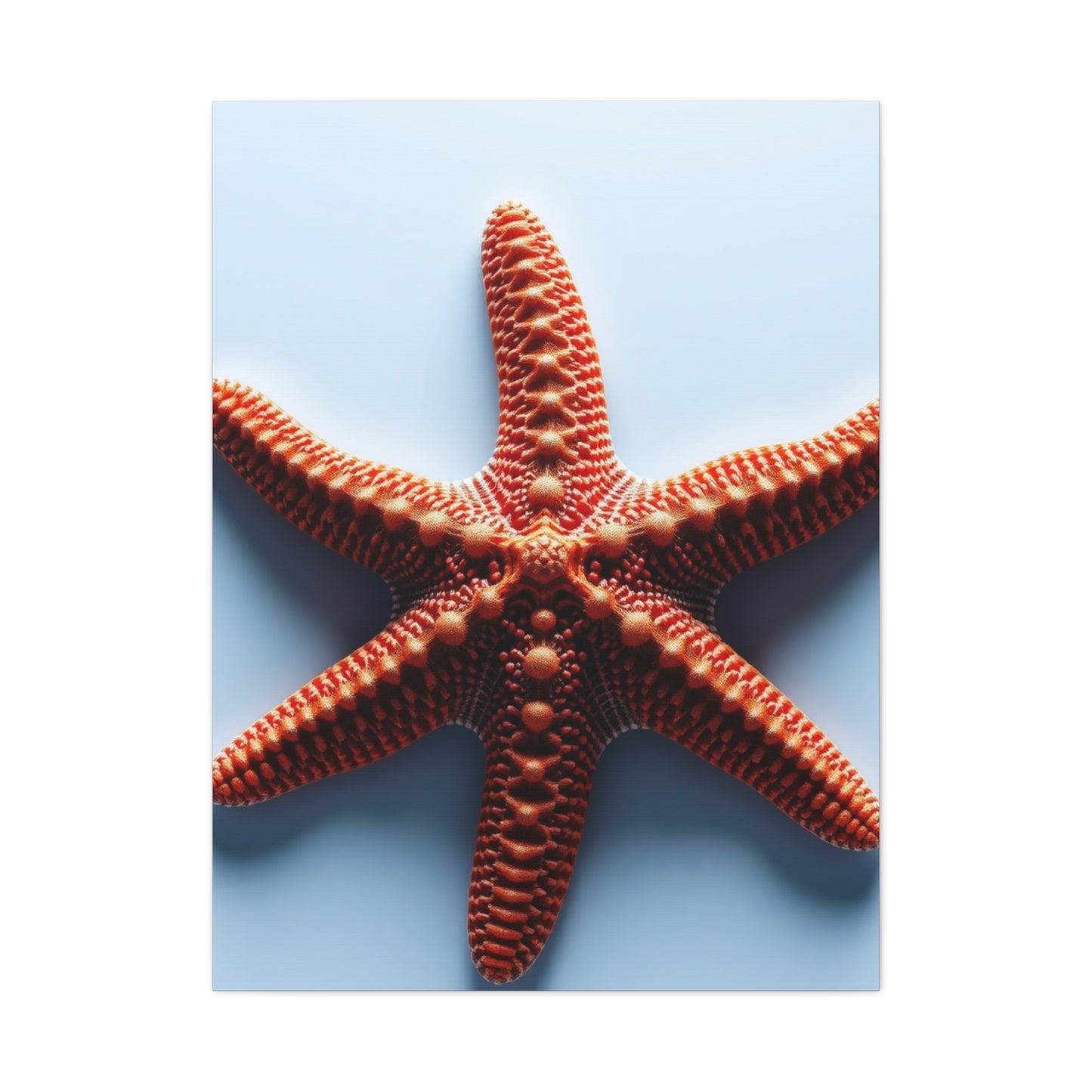 Starfish Art Supreme Gallery Wall Art & Canvas Print