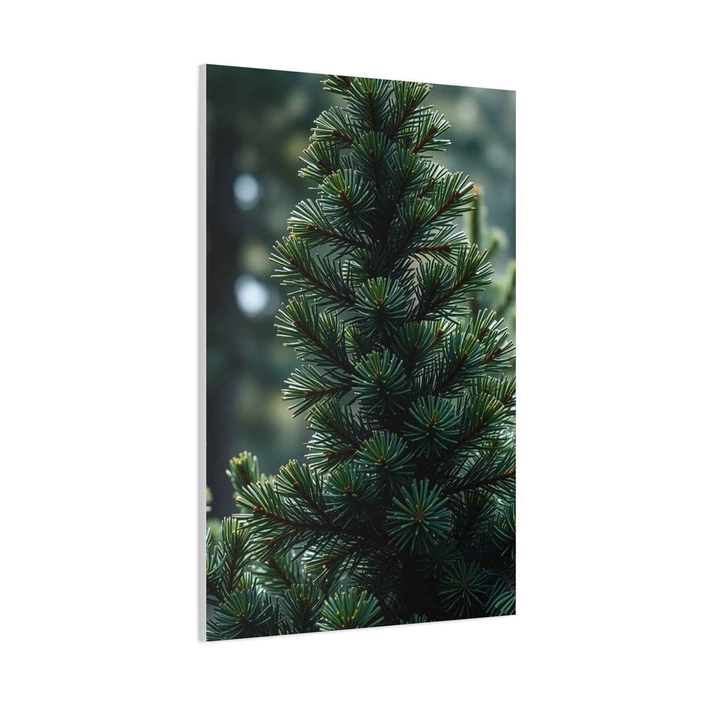 Pine Tree Art Refined Canvas Wall Art & Canvas Print