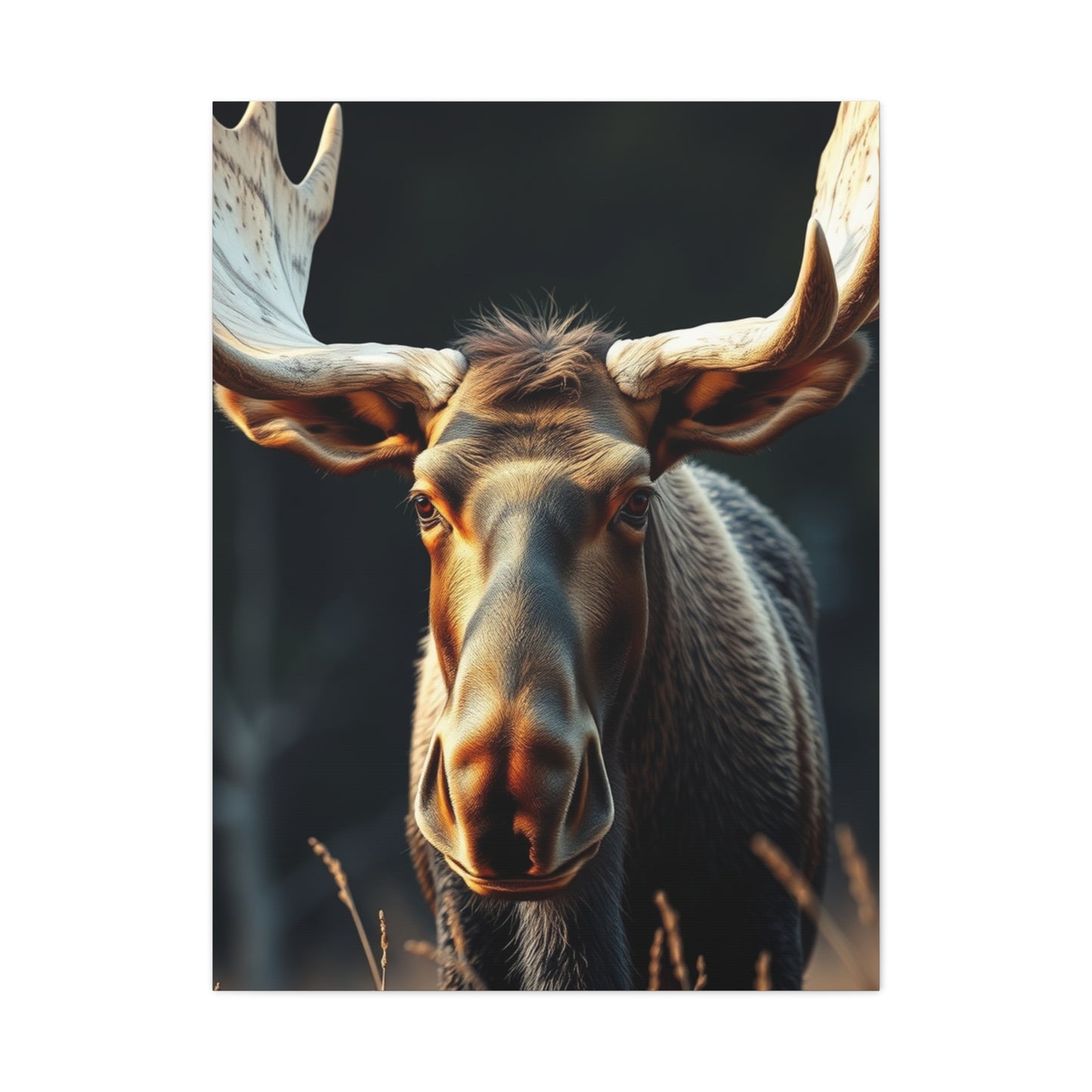 Moose Art Supreme Gallery Wall Art & Canvas Print