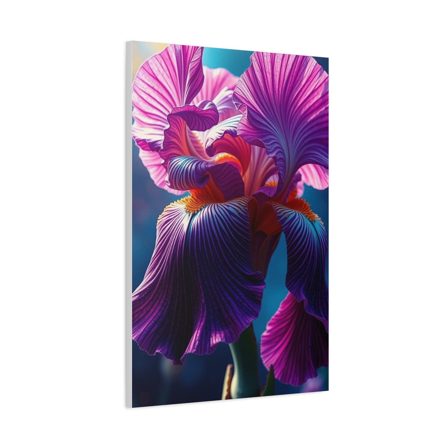 Supreme Iris Scott Art Collection Wall Art & Canvas Print