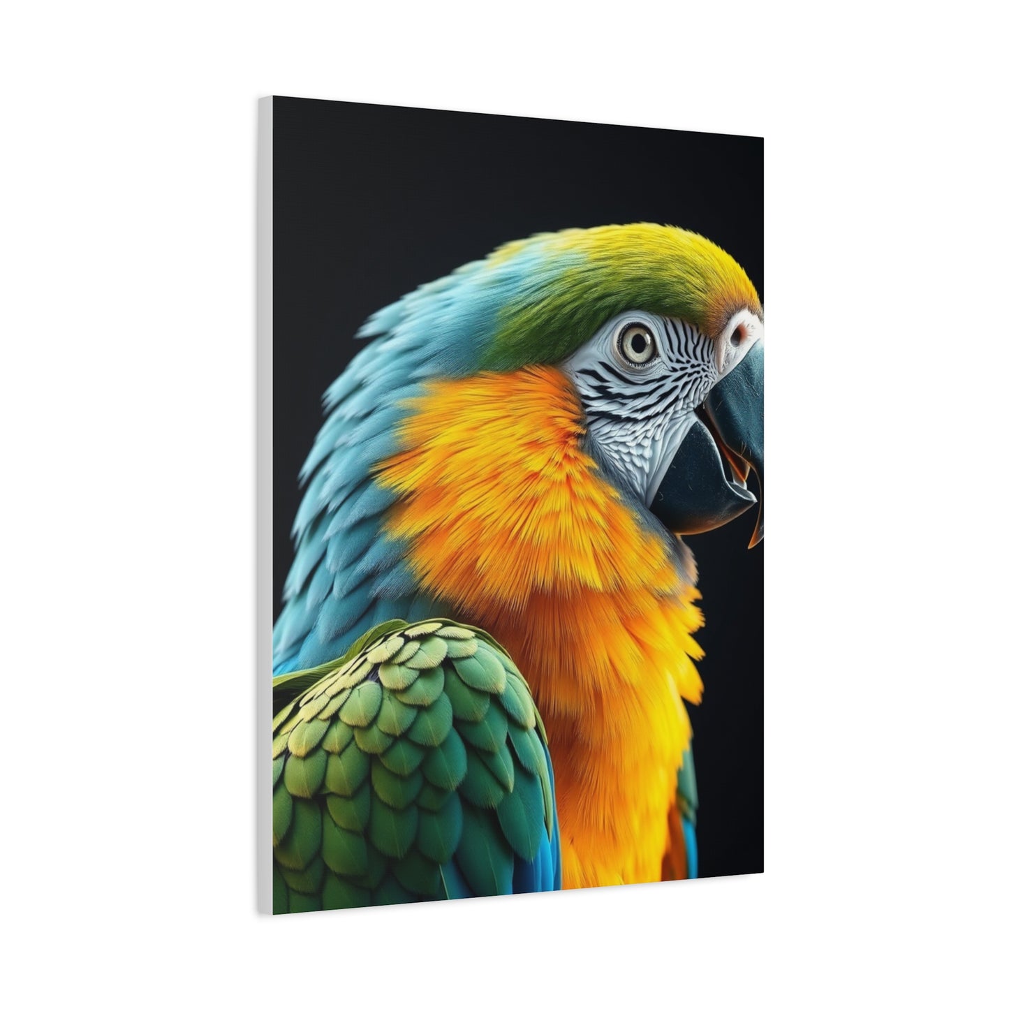 Parrot Art Luxury Canvas Wall Art & Canvas Print