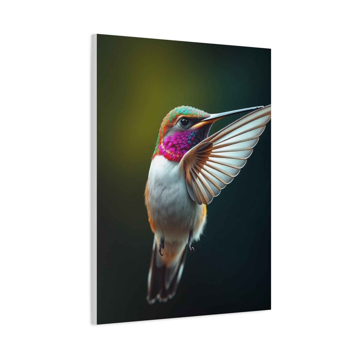 Humming Bird Art Supreme Gallery Wall Art & Canvas Print