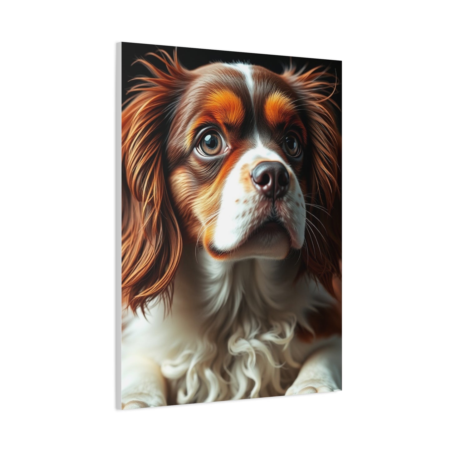 Elite Cavalier King Charles Spaniels Art Vision Wall Art & Canvas Print