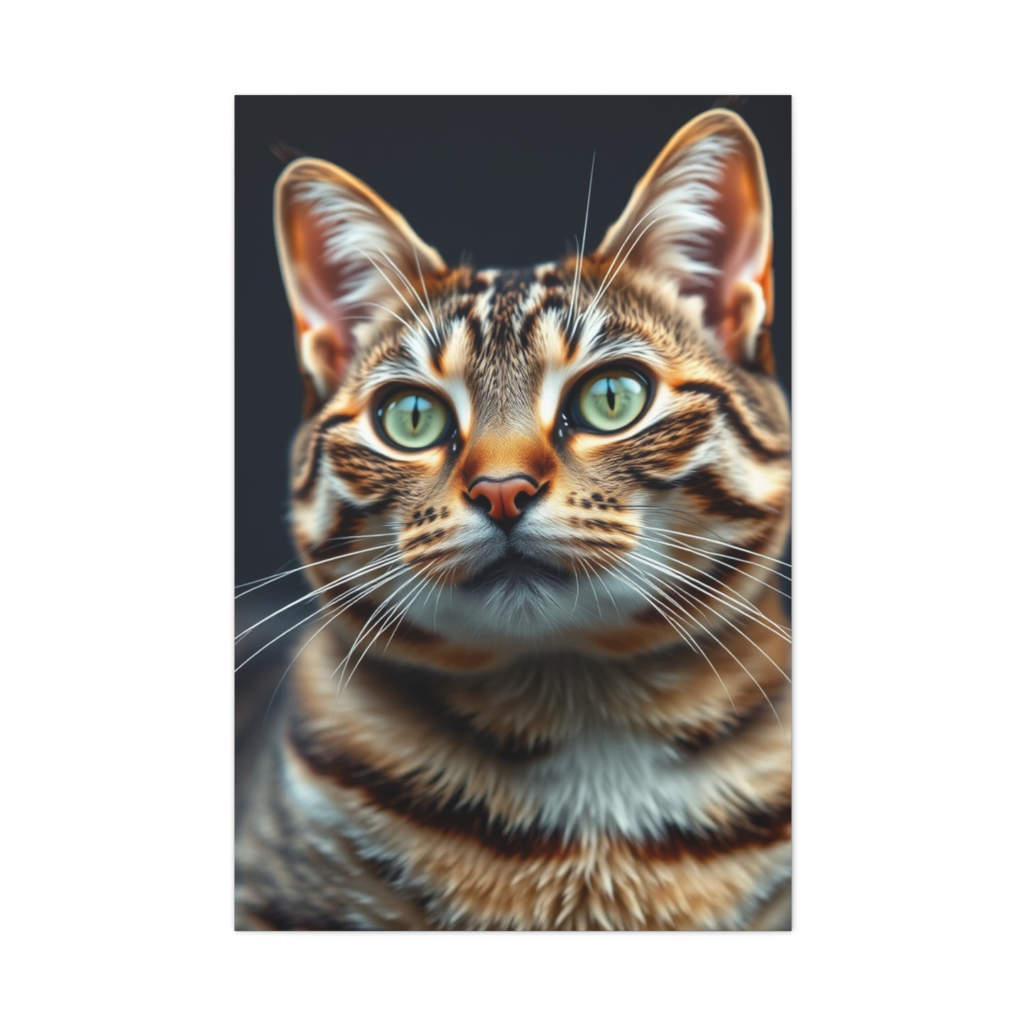 Tabby Cat Art Luxury Canvas Wall Art & Canvas Print